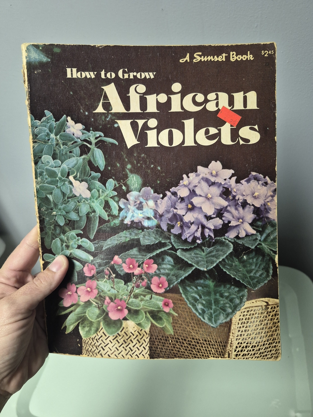 How to Grow African Violets Vintage Book - Floral Guide